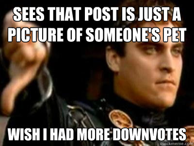 Sees that post is just a picture of someone's pet wish i had more downvotes  Downvoting Roman