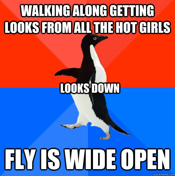 Walking along getting looks from all the hot girls Fly is wide open looks down  Socially Awesome Awkward Penguin