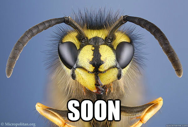  SOON  Vengeful Wasp