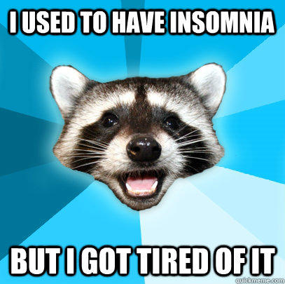 I USED TO HAVE INSOMNIA BUT I GOT TIRED OF IT - I USED TO HAVE INSOMNIA BUT I GOT TIRED OF IT  Lame Pun Coon