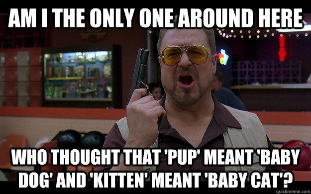 Am I the only one around here Who thought that 'pup' meant 'baby dog' and 'kitten' meant 'baby cat'?  