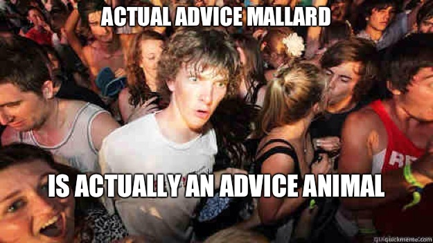Actual Advice Mallard Is Actually an Advice Animal  Sudden Clarity Clarence