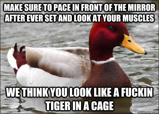 Make sure to pace in front of the mirror after ever set and look at your muscles we think you look like a fuckin tiger in a cage  Malicious Advice Mallard
