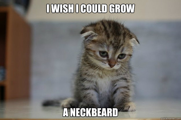 i wish i could grow a neckbeard  Sad Kitten