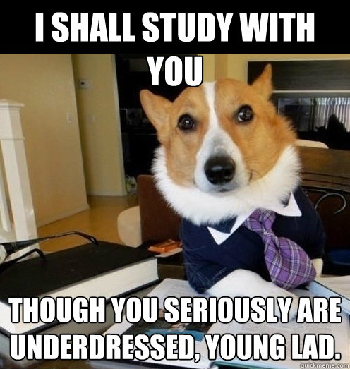 i shall study with you though you seriously are underdressed, young lad. - i shall study with you though you seriously are underdressed, young lad.  Most Sophisticated Dog In the World