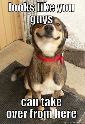 LOOKS LIKE YOU GUYS CAN TAKE OVER FROM HERE Good Dog Greg