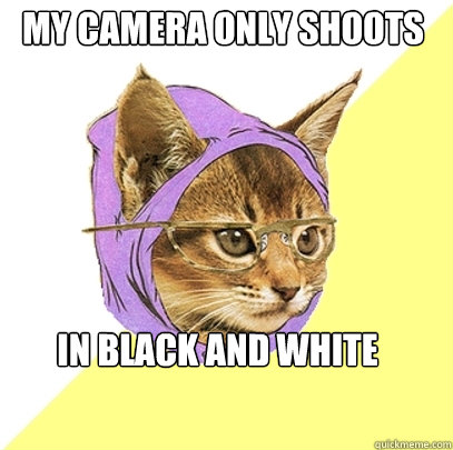 My camera only shoots in Black and white  Hipster Kitty