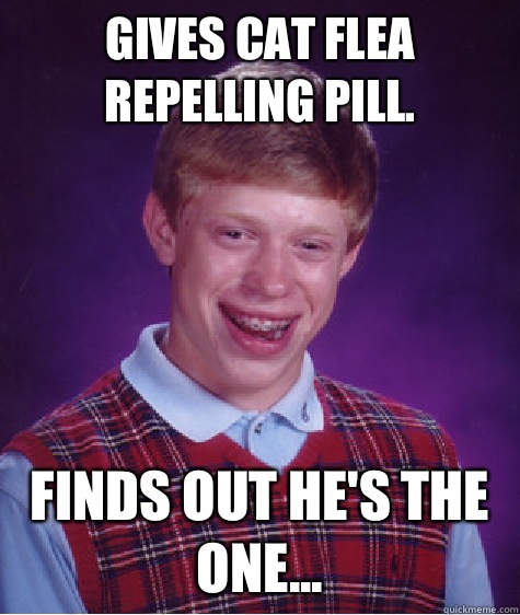 Gives cat flea repelling pill. Finds out he's the one...  Bad Luck Brian
