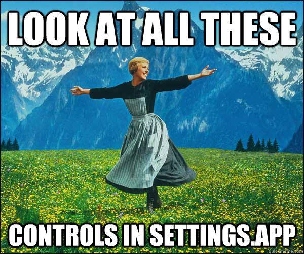 LOOK AT ALL THESE CONTROLS IN SETTINGS.APP  thefucks