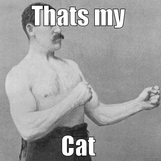 THATS MY CAT overly manly man
