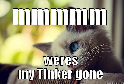 MMMMM WERES MY TINKER GONE First World Problems Cat
