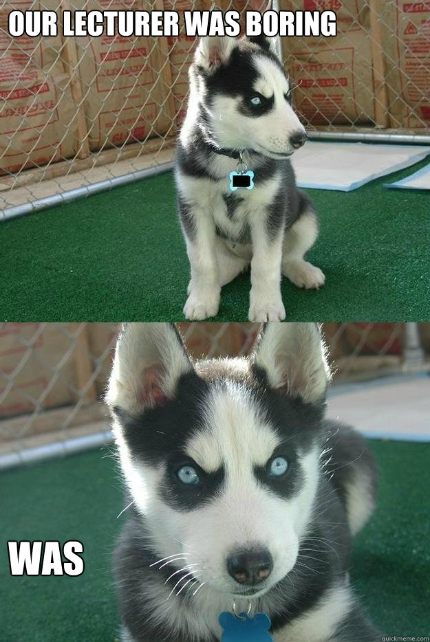 Our lecturer was boring WAS  Insanity puppy