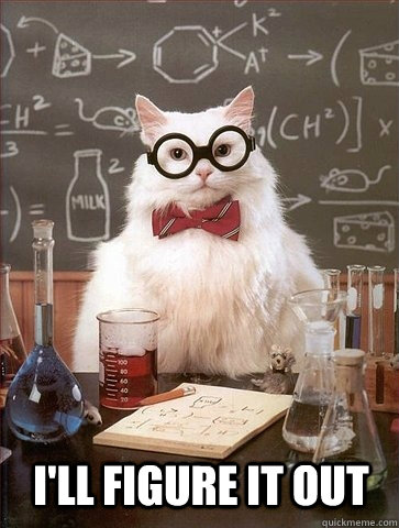 I'LL FIGURE IT OUT  Chemistry Cat