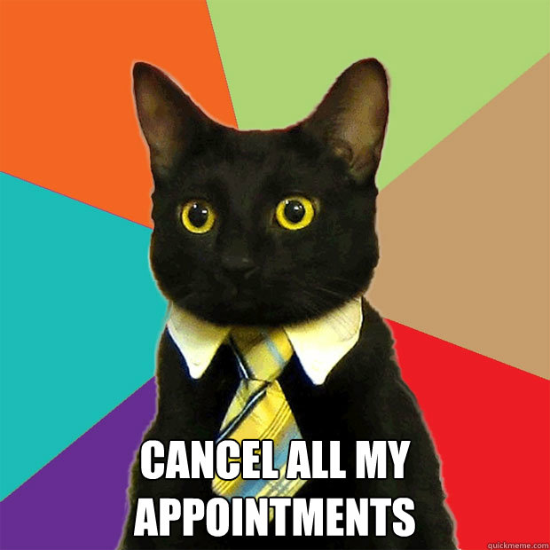  cancel all my appointments -  cancel all my appointments  Business Cat