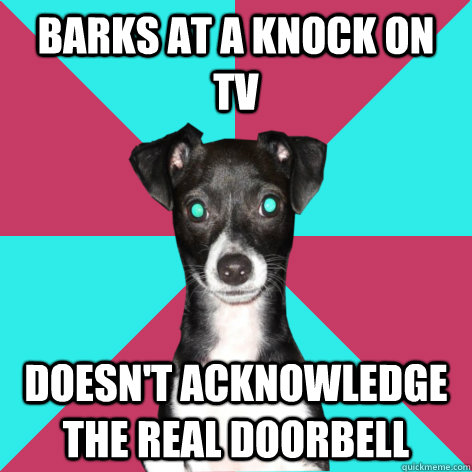 Barks at a knock on TV Doesn't acknowledge the real doorbell  