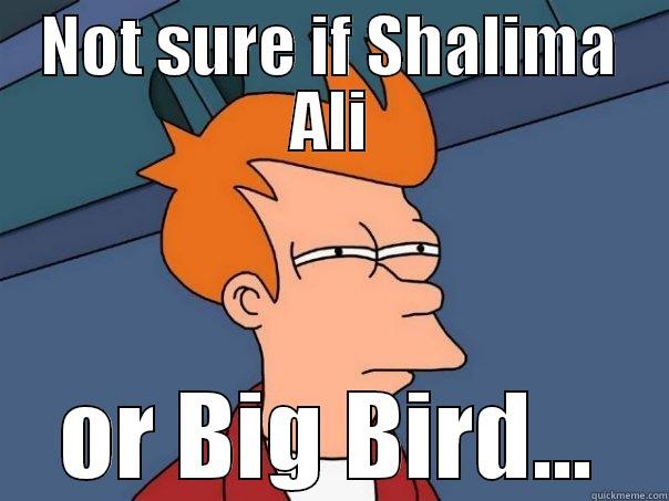 NOT SURE IF SHALIMA ALI OR BIG BIRD... Futurama Fry