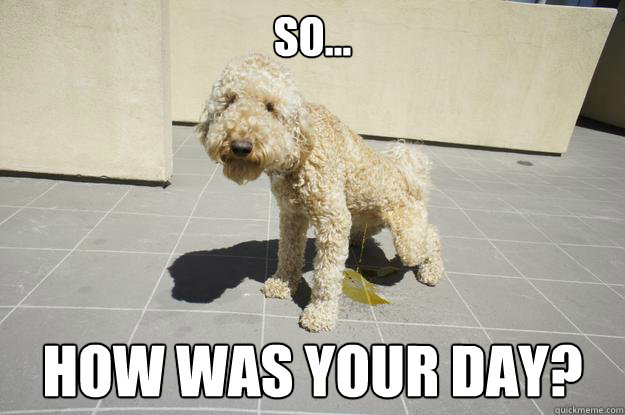 So… How was your day? - So… How was your day?  Overly Casual Dog