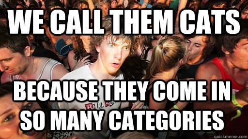 We call them cats Because they come in so many categories  Sudden Clarity Clarence