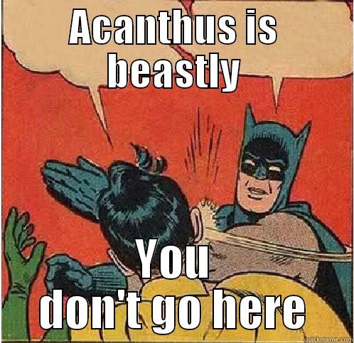 ACANTHUS IS BEASTLY YOU DON'T GO HERE Batman Slapping Robin