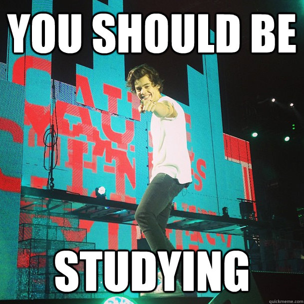 YOU SHOULD BE STUDYING   Harry Styles