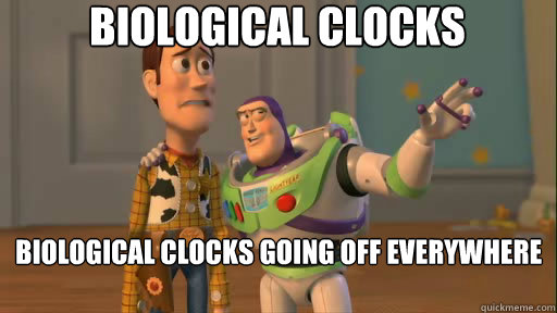 biological clocks biological clocks going off everywhere everywhere  Everywhere