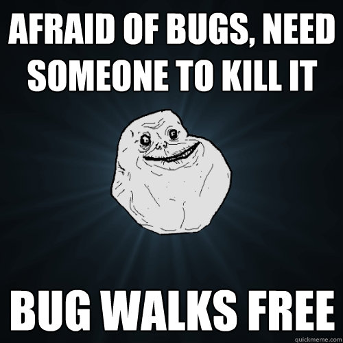 afraid of bugs, need someone to kill it bug walks free - afraid of bugs, need someone to kill it bug walks free  Forever Alone