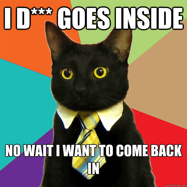 i d*** goes inside no wait I want to come back in  Business Cat