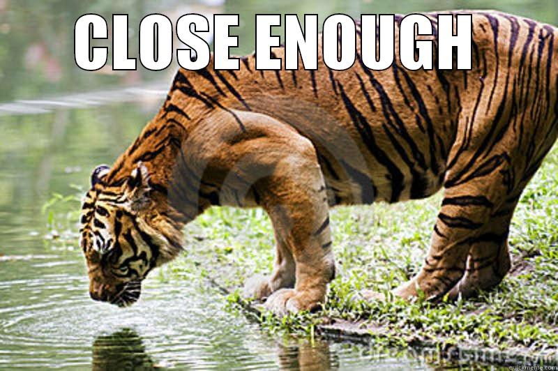 CLOSE ENOUGH  Misc