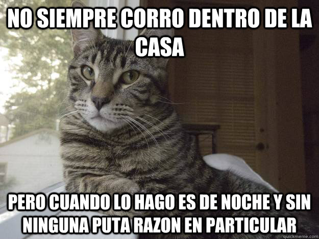 NO SIEMPRE CORRO DENTRO DE LA CASA PERO CUANDO LO HAGO ES DE NOCHE Y SIN NINGUNA PUTA RAZON EN PARTICULAR   