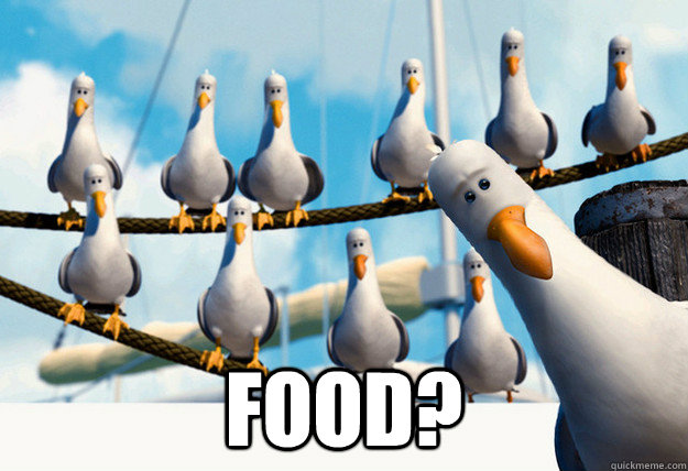  FOOD?  Finding Nemo Mine Seagulls