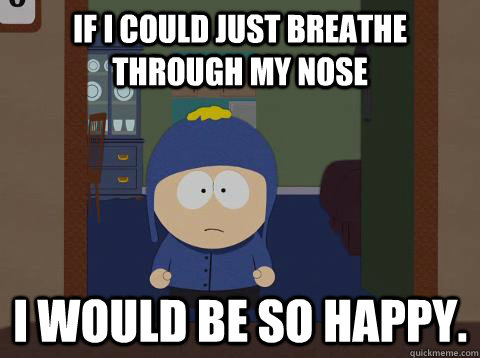If I could just breathe through my nose i would be so happy.  Craig would be so happy