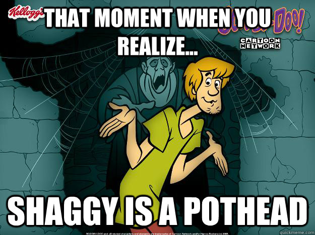 that moment when you realize...  shaggy is a pothead  Irrational Shaggy