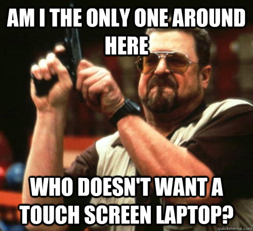 Am i the only one around here who doesn't want a touch screen laptop?  Am I The Only One Around Here