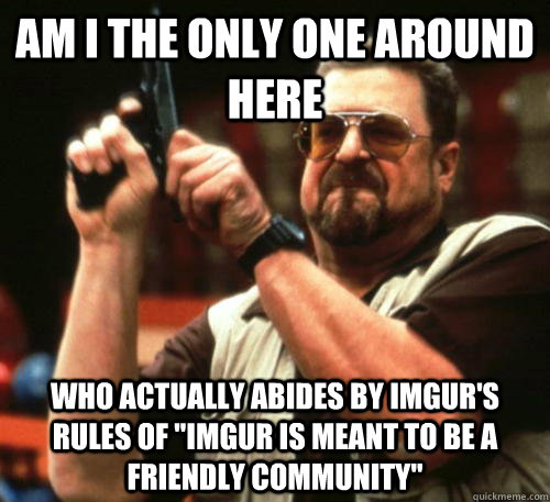 Am i the only one around here who actually abides by imgur's rules of 