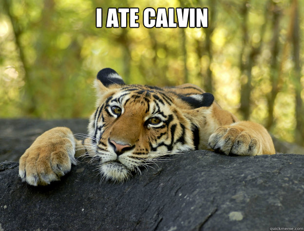 I ate Calvin   Confession Tiger