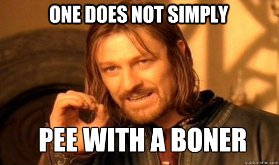 One does not simply pee with a boner
  