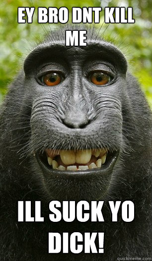 ey bro dnt kill me ILL SUCK YO DICK! - ey bro dnt kill me ILL SUCK YO DICK!  Mindful Macaque