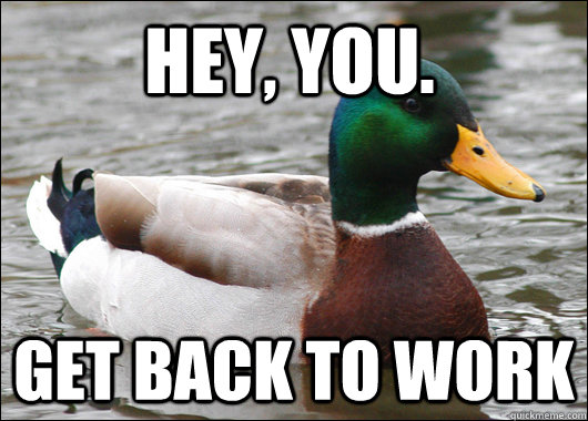 hey, you. get back to work  Actual Advice Mallard