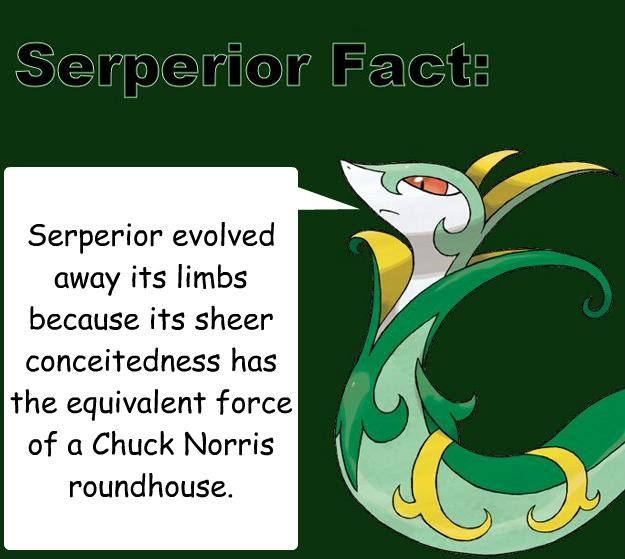 Serperior evolved away its limbs because its sheer conceitedness has the equivalent force of a Chuck Norris roundhouse.  