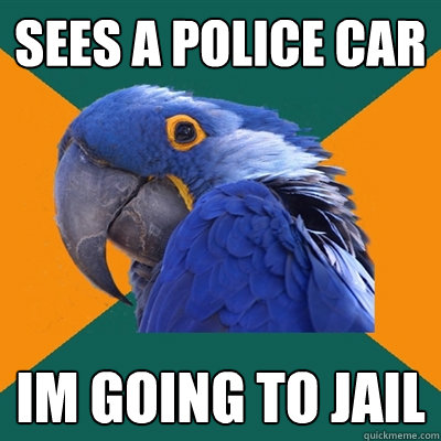 Sees a police car Im going to jail  Paranoid Parrot