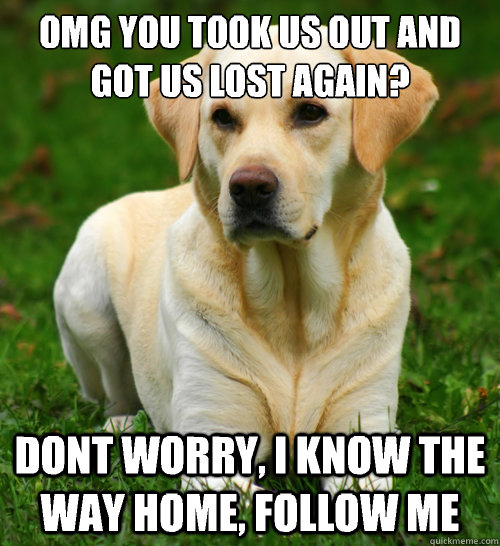 Omg you took us out and got us lost again? Dont worry, I know the way home, follow me  Dog Logic