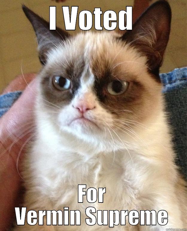 Vermin Supreme Grumpy Cat - I VOTED FOR VERMIN SUPREME Misc