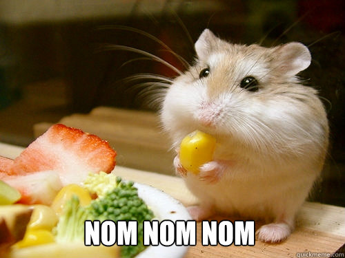 nom nom nom  