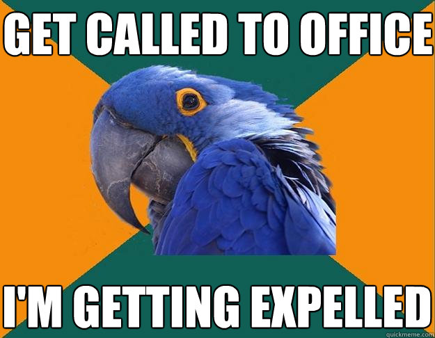 get called to office I'm getting expelled  Paranoid Parrot