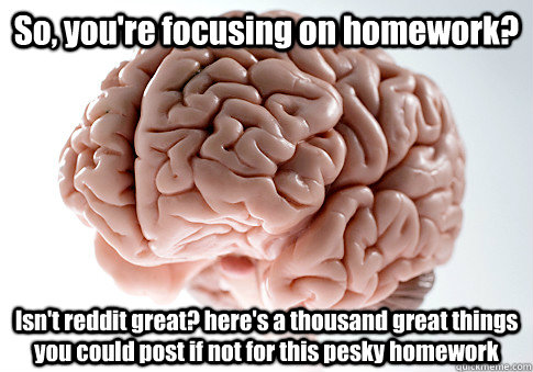 So, you're focusing on homework? Isn't reddit great? here's a thousand great things you could post if not for this pesky homework  Scumbag Brain
