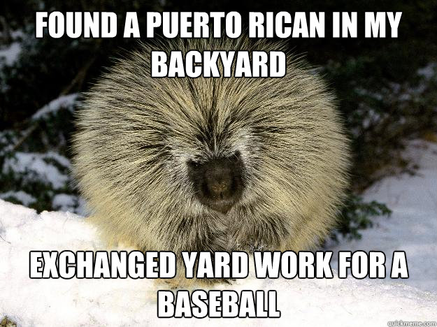 Found a puerto rican in my backyard Exchanged yard work for a baseball - Found a puerto rican in my backyard Exchanged yard work for a baseball  Overly Racist Porcupine