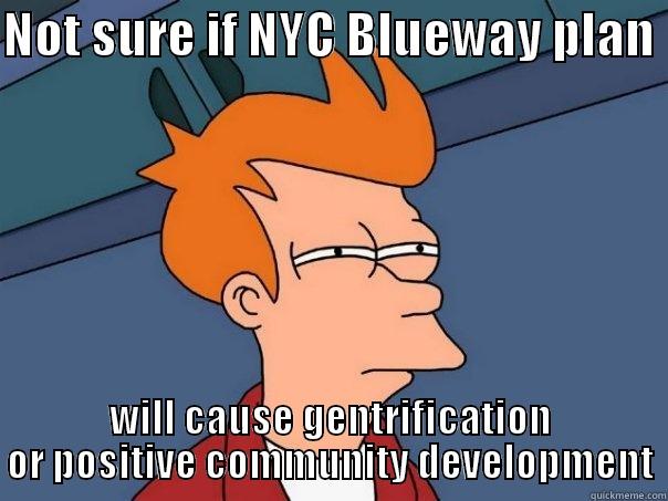 NOT SURE IF NYC BLUEWAY PLAN  WILL CAUSE GENTRIFICATION OR POSITIVE COMMUNITY DEVELOPMENT Futurama Fry