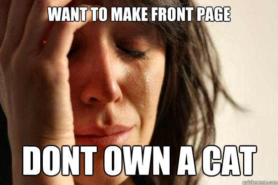 Want to make front page dont own a cat  First World Problems