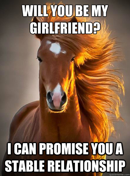 Will you be my girlfriend? I can promise you a stable relationship - Will you be my girlfriend? I can promise you a stable relationship  Ridiculously Photogenic Horse