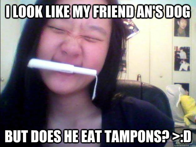I LOOK LIKE MY FRIEND AN'S DOG BUT DOES HE EAT TAMPONS? >:D  Tampon Eater